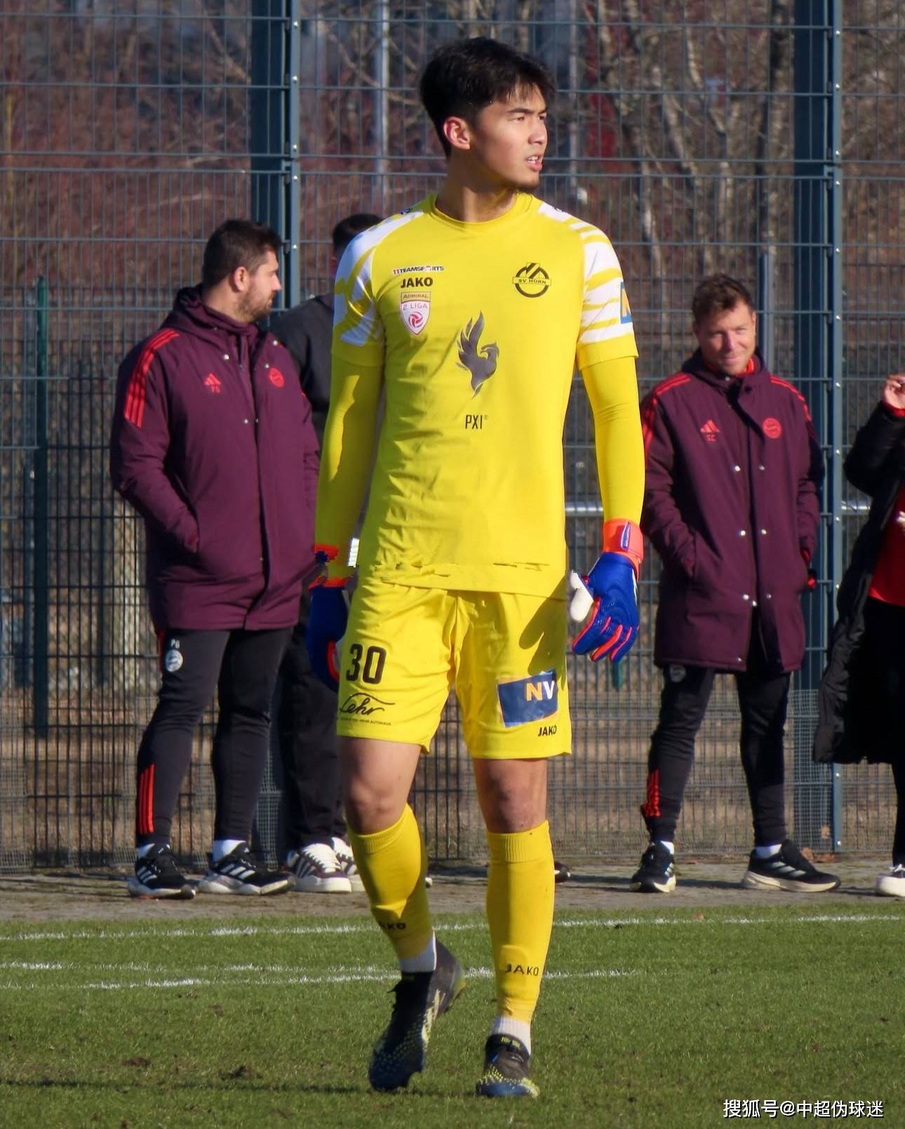 扬尼斯 扬尼斯